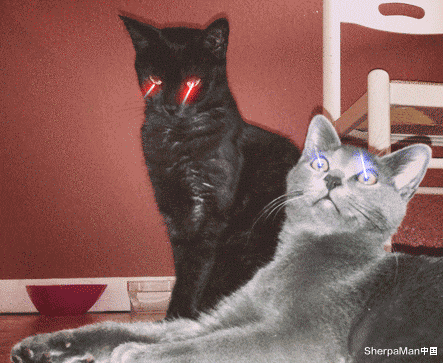 小q|小米有品推“圆饼尺”，单手1秒测距离、体积、面积，网友：钢卷尺已扔