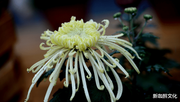 #孙殿英#“天机不可泄露”:有两种“隐私”,越是熟人越不能说