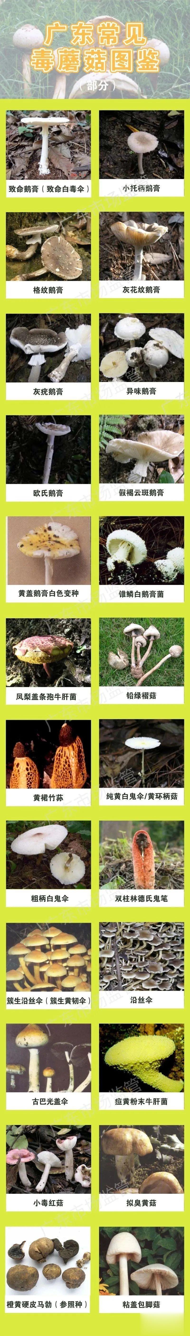 健康南粤|“肯定没毒！”刚说完，母子双双入院！医生：无特效药