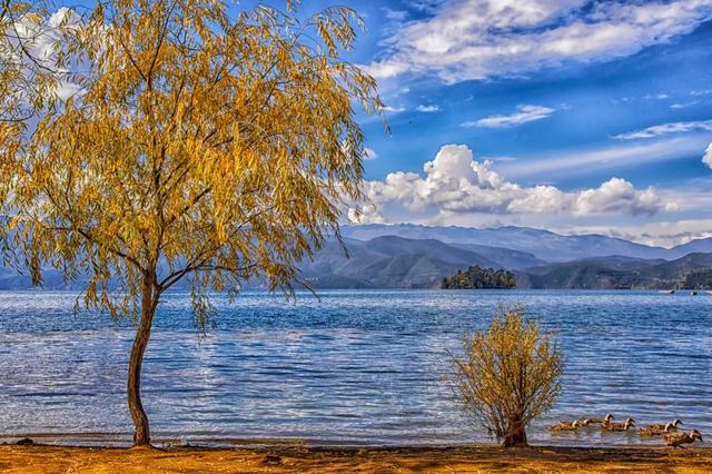 旅行|旅行中最美的15个瞬间，你经历过几个？