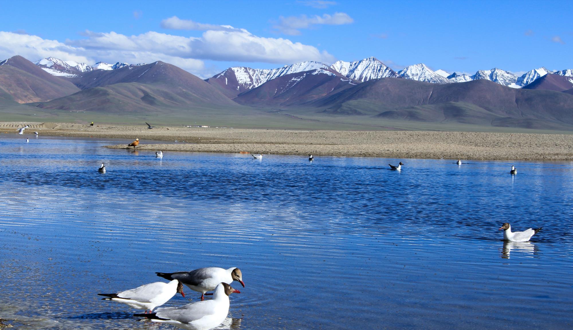 「西藏」西藏纳木错，我被6岁小孩堵在厕所里，交了特殊“过路费”才出去