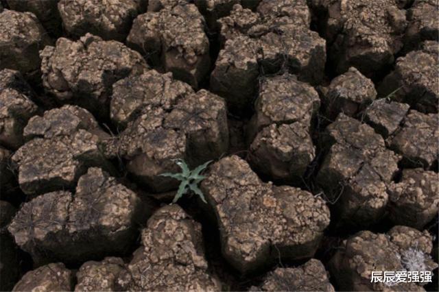 #霍金#未来人类将何去何从？霍金临终前留下3个预言，最后一个正在应验