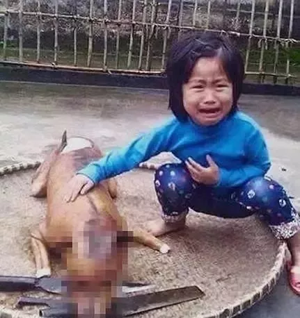 屠宰场发现自己养的狗狗，小女孩伤心地嚎啕大哭