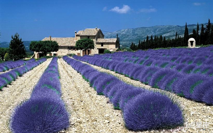 「生肖」12星座的5月运势走向,爱情运势旺,事业有成