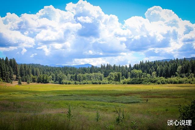 射手座|15天后，相思苦，凭谁诉，望断天涯路，3星座兜兜转转，破镜重圆