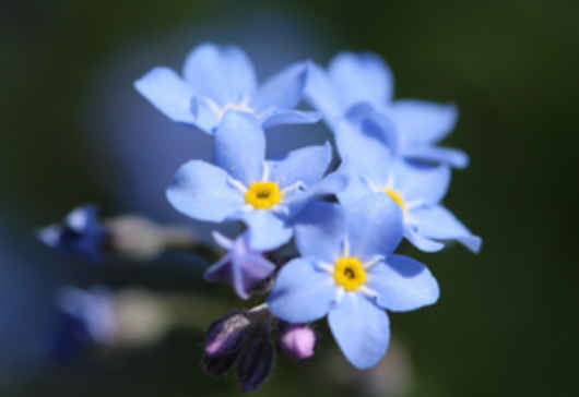 ：6月开始，4属相好运连发，贵人提携，财运旺盛，喜事多多