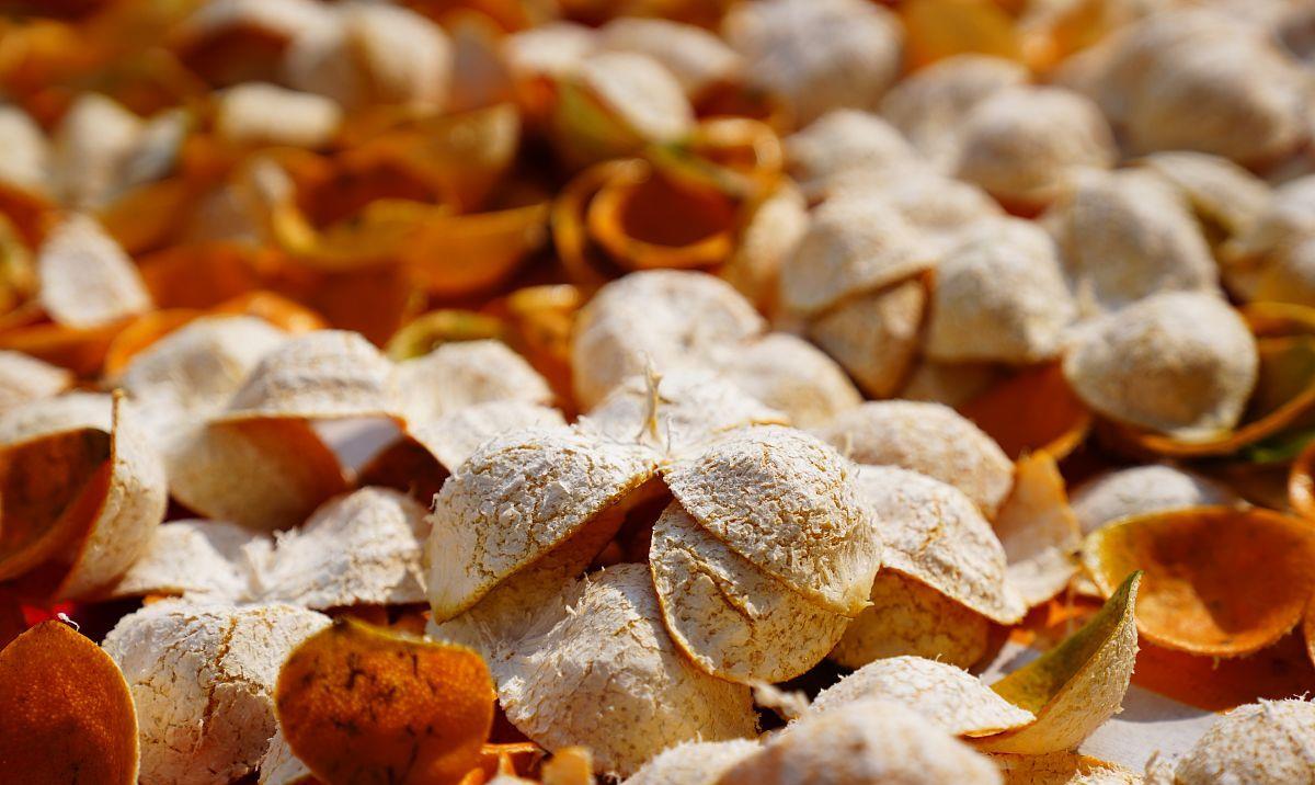 []陈皮泡水喝有这些作用，你知道吗？不妨来了解一下