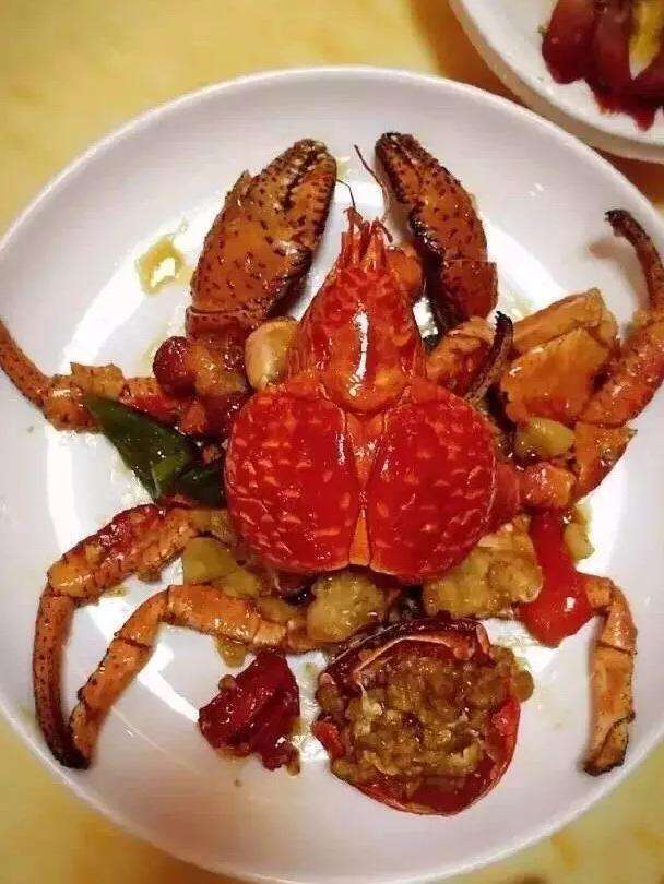 ：世界上最大的陆生螃蟹——椰子蟹的杀伤力究竟有多大