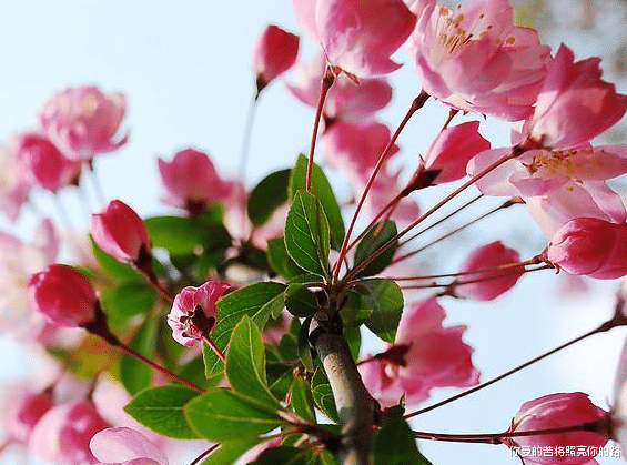 运势|8月1日开始，4属相有意外惊喜，贵人相助，机会多多，生活美满