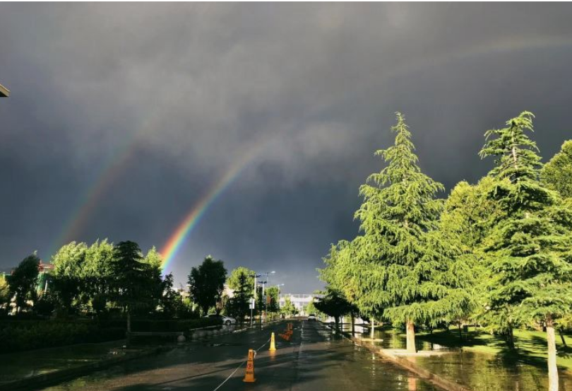 [石河子大学]宁去二本院校，也不去这3所211大学，家长：大不了复读！究竟为何