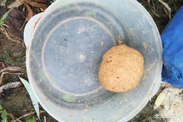 |三伏天钓鱼，注意用饵的这些要点，鱼口好到没商量，一钓一个准！