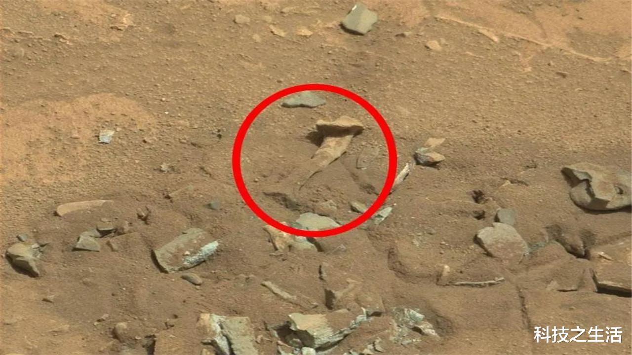 「银环蛇」火星可供人类居住？“好奇号”探测器发现“废墟”，人类有救了？