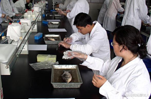 考研|这5类大学生不适合考研，考研容易成炮灰”，还是直接就业好