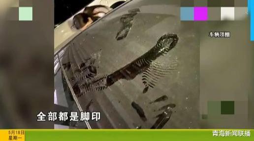 「标题党」女子回家停错车位，惨遭陌生人上车踩踏，本想算了却发现神秘液体
