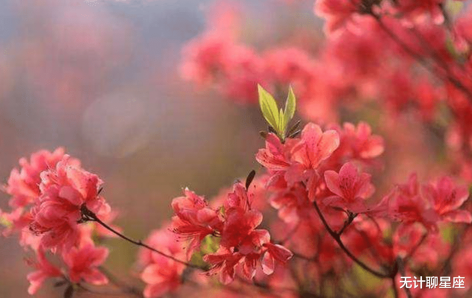 |隐藏最深的4个星座，善于伪装情绪，不会让你看到心底的真实