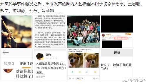 郑爽|郑爽代孕牵扯太多明星，前任的反应个个很无情？只有周扬青的反应有人性