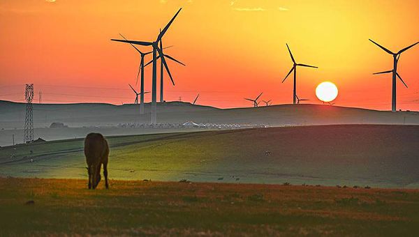 生肖|11·20日发发发！撞大运发大财，发家致富，好运到年底3生肖