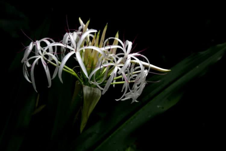 『生肖』6月下旬开始财喜进门，事事顺心，幸福策马奔腾的四大生肖