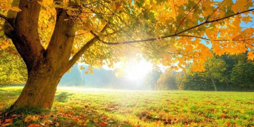 旧爱|下个月，喜从天降，旧爱回眸，爱意难藏，鸳鸯送缘，情定余生