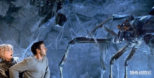 『大象』如果将蚂蚁放大10000倍，它们能否统治地球？为什么？