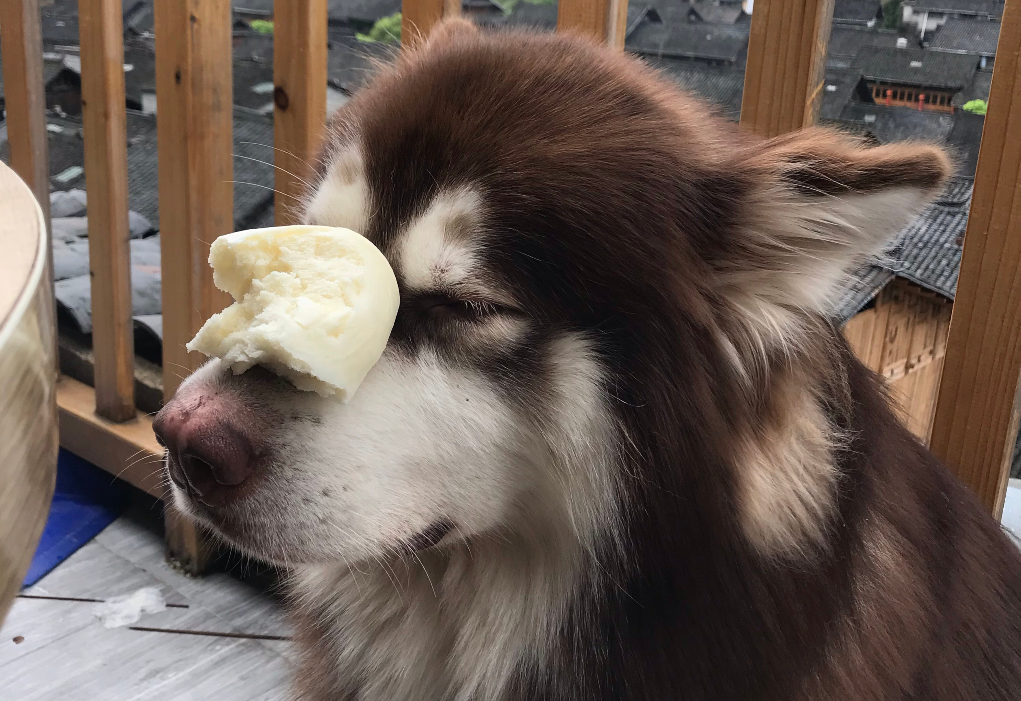 如何改善阿拉斯加散手没？