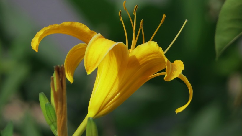「」越长大,话越少的生肖鸡,沉默寡言,不善言辞,但思想境界极高!