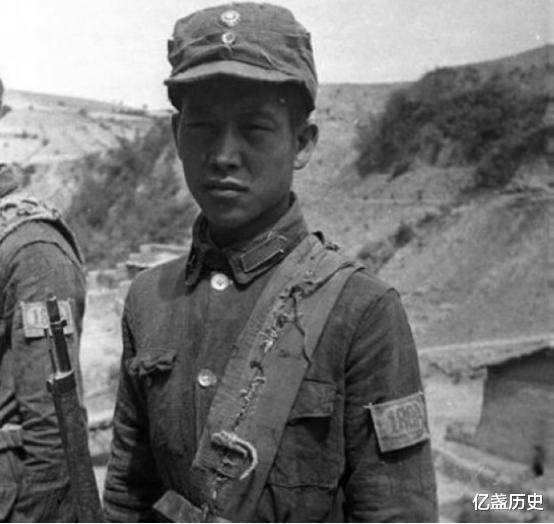 日军|一八路军夜行无人区,遇野狼追击爬树上躲避,一队日军竟恰巧路过