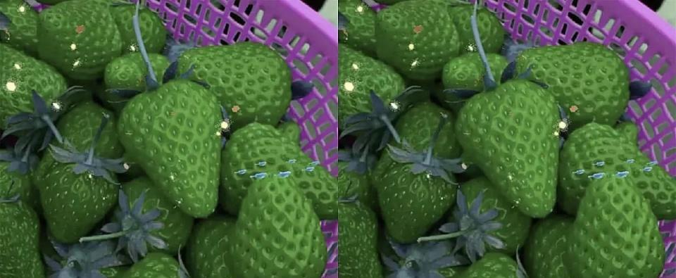 『草莓』假如水果换身颜色，绿色草莓忍了，香蕉也忍了，看到橘子，怕了！