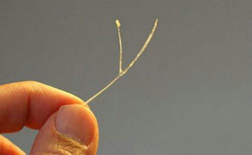 :鱼刺卡喉咙可别再喝醋了,新教你一招,鱼刺自己跑出来!