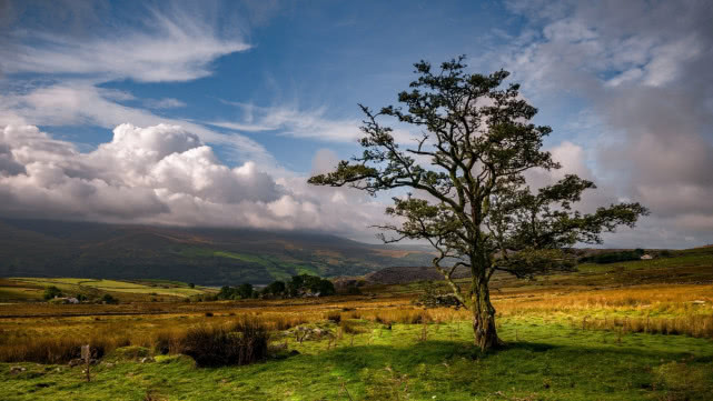 『十二星座』5月下旬运势大洗牌,事业有新突破,靠脑子赚大钱的三个生肖