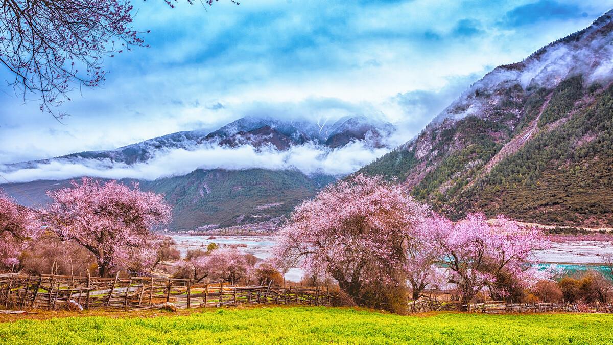 生肖|12生肖8月桃花运播报:异性缘超好的三个生肖,主动抓住幸福吧!