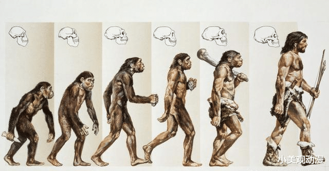 『』盘点人类生理上三大不合理之处,进化论已解释不了,网友:想不通