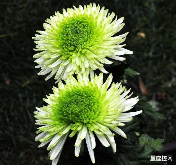 |啥日子出生的人，做人不自私，生意不冷落，好日子一年年越来越旺