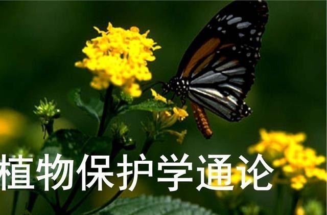 大学|看上去“冷门”,其实就业率很高的5个大学专业,发展前景也不错