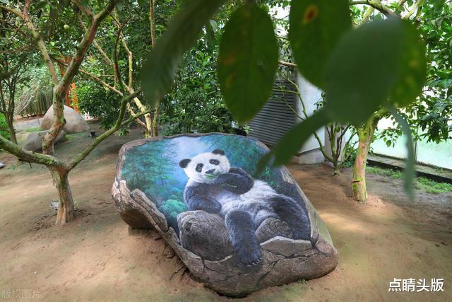 属鼠|9月至10月好消息一箩筐,心情倍爽,喜获枯木逢春的三大星座