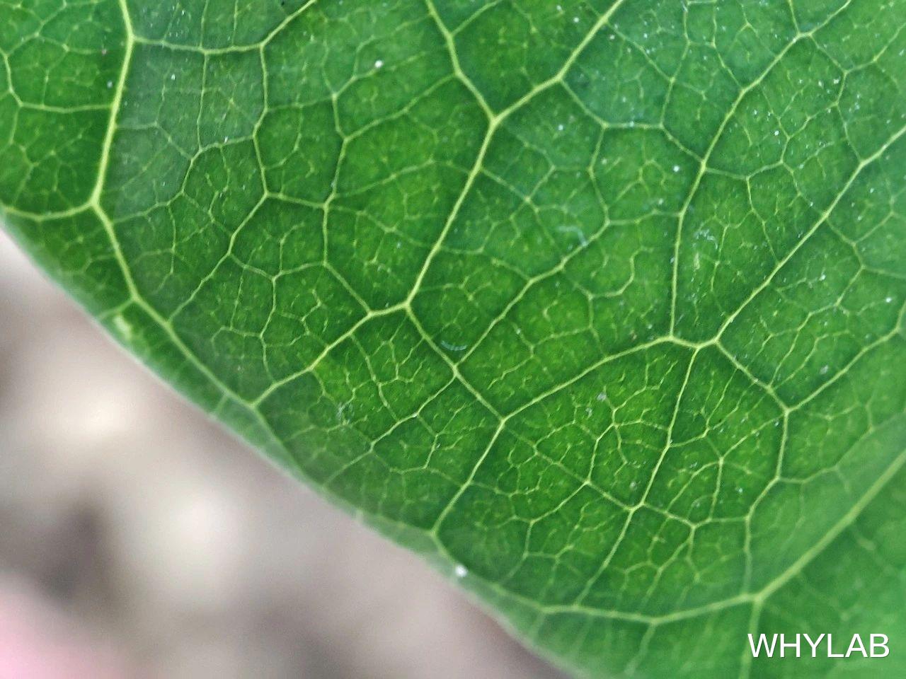 红米手机▲拍月亮已经过时了，Redmi K30 Pro 想让你数毛