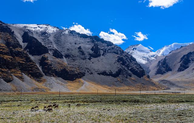 旧爱|7月底,心心相印,旧爱重返,如约而至,再燃爱火,余生幸福甜蜜