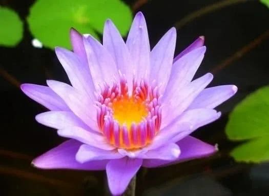 『大富大贵』6月下旬好消息传来,4属相喜上眉梢,事业越来越顺,大富大贵