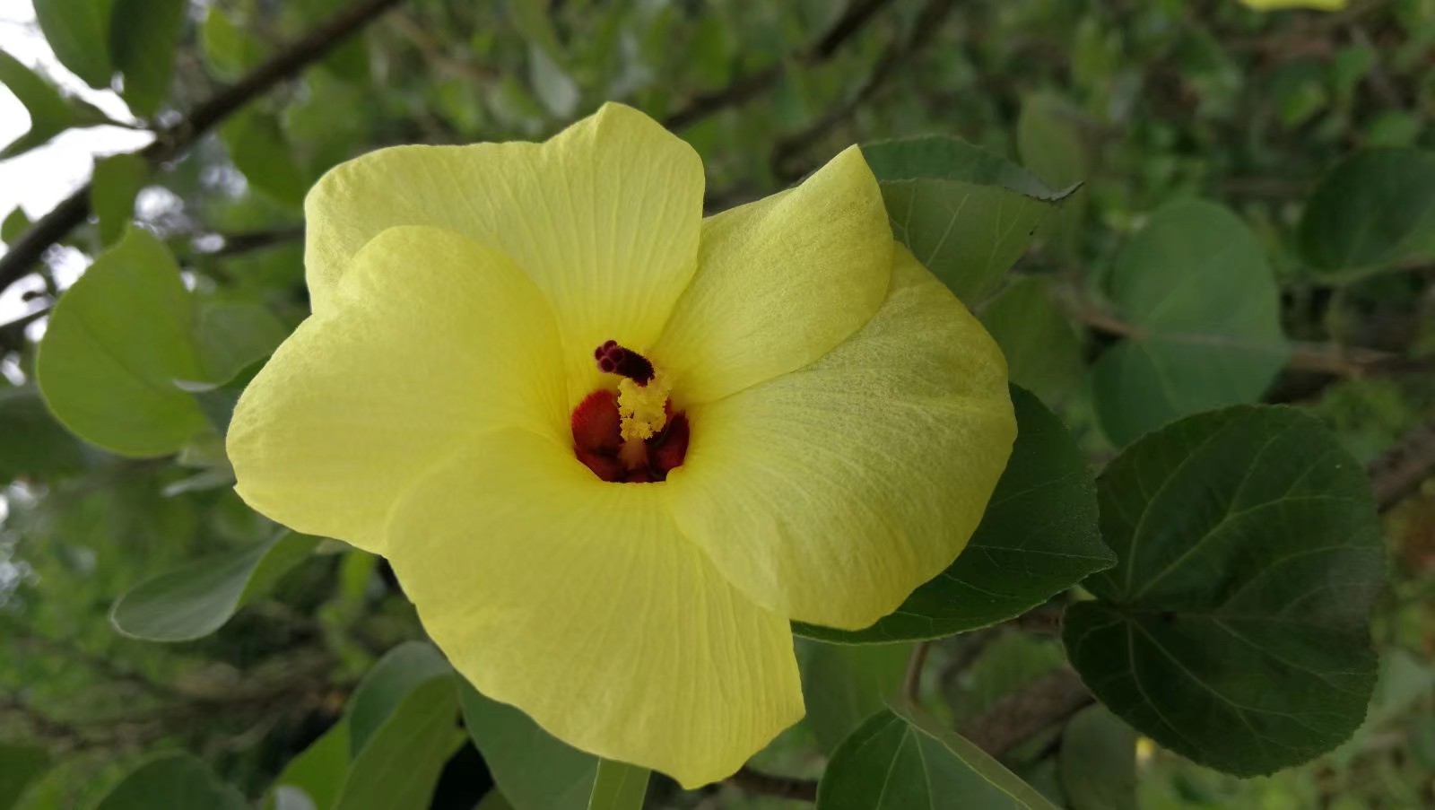 |对不起,我的高考分数见不得人