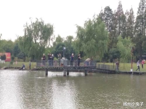 海钓|河钓、湖钓、海钓，看他人钓鱼，想自己的人生