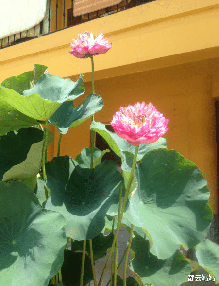 「长沙」长沙13个免费旅游景点，个个精心挑选，五一陪孩子好好玩尽兴