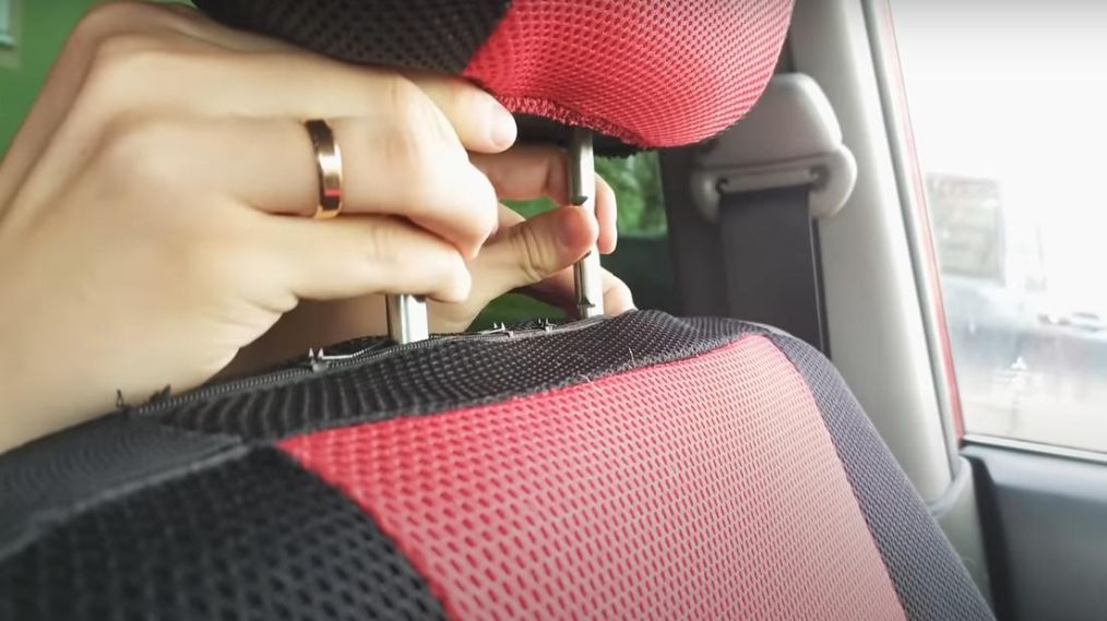 #世界真奇妙#科学冷知识 看过才知道世界真奇妙 那些神奇的秘密(第二十二期)