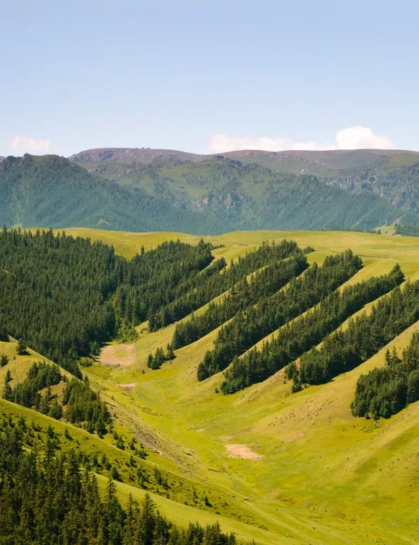 「甘肃」肃南!才是隐藏的人间天堂!