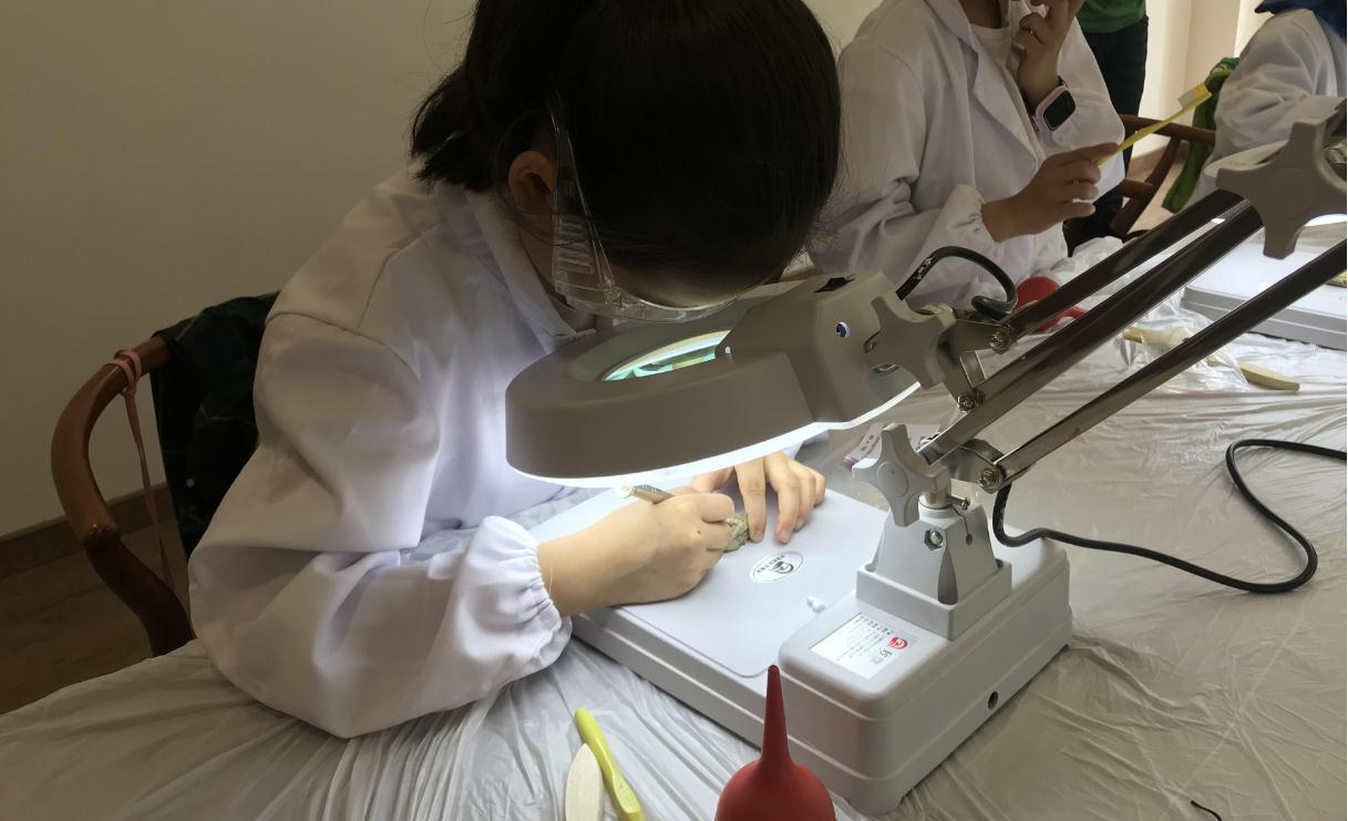 大学|高考生：这6个专业曾经很热门，现在就业率低，毕业转行率高