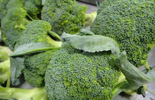 妇科炎症|妇科炎症反复不好？坚持吃5种食物，帮助抗菌消炎，或远离烦恼