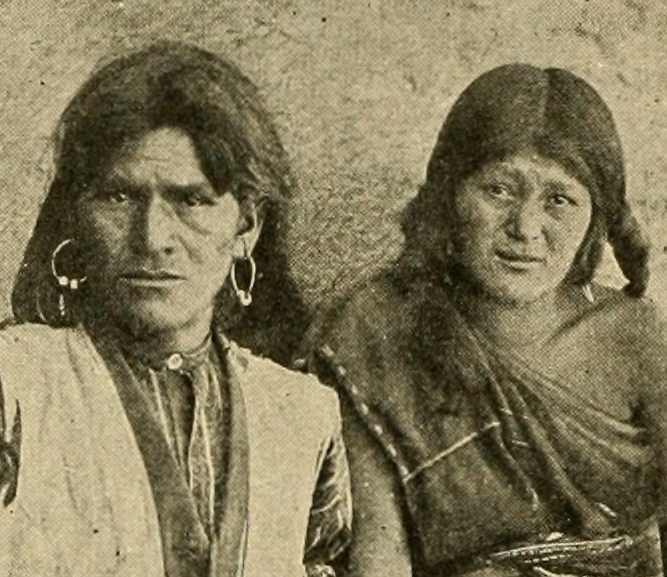 黑猩猩■所谓的“母系社会阶段”其实并不存在