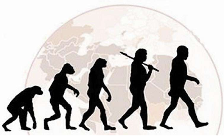 『科学家』人类是从蛋中孵化出来的?进化论受到挑战,意大利科学家找到证据