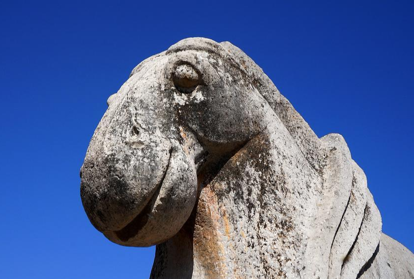 【李忱】晚唐小太宗李忱贞陵