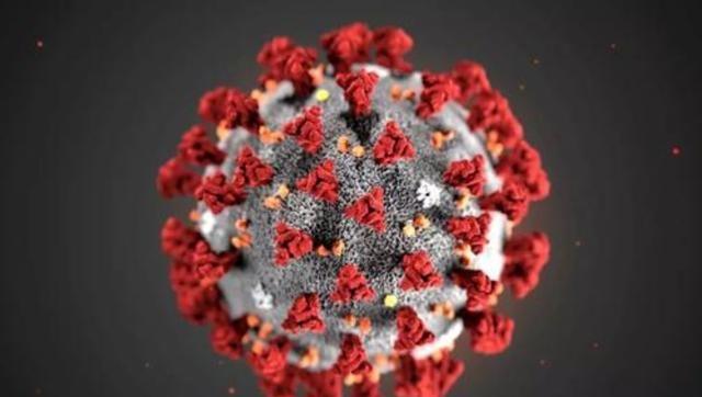 冠状病毒|真相被挖掘出来了？新冠病毒其实早已在布满全球！牛津大学专家：它们被激活了