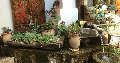 ：等老了，就设计这样的小院来养老，有花有树有阳光，太棒了